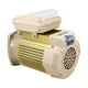 Pentair TEFC Motor 354815S