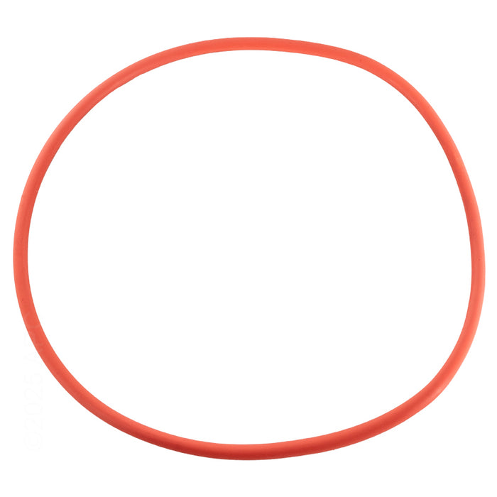 Pentair Seal Plate O-ring 356173Z