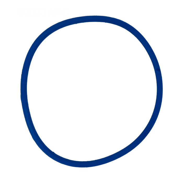Pentair Lid O-Ring 356189Z