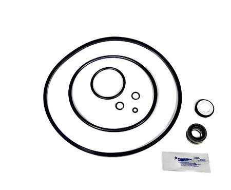 Pentair Pump Seal Quick Kit 356196