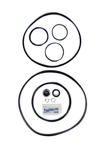 Pentair Pump Seal Quick Kit 356199