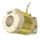 Pentair Motor 356286S