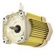 Pentair Motor 356286S