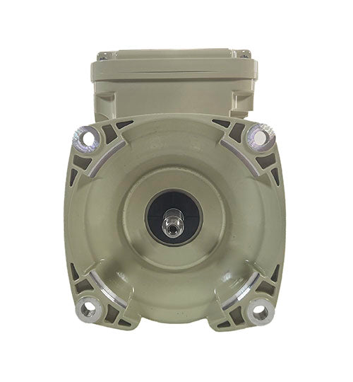 Pentair Motor 356363S
