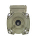 Pentair Motor 356363S