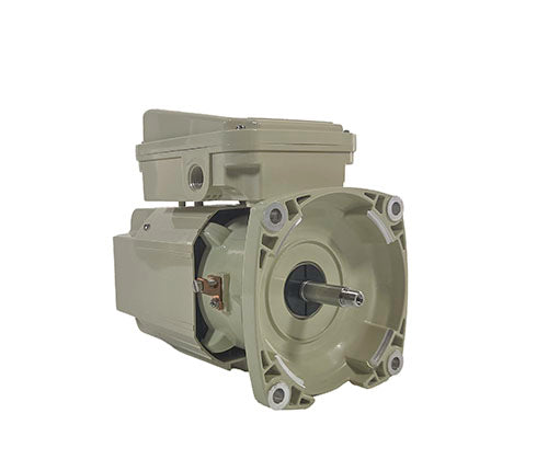 Pentair Motor 356363S