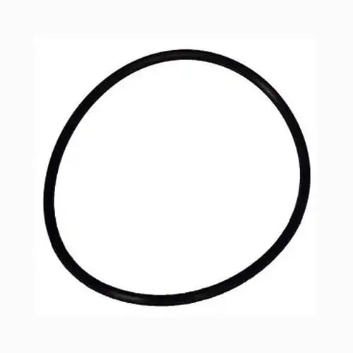 Black circular object on a white background