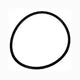 Black circular object on a white background