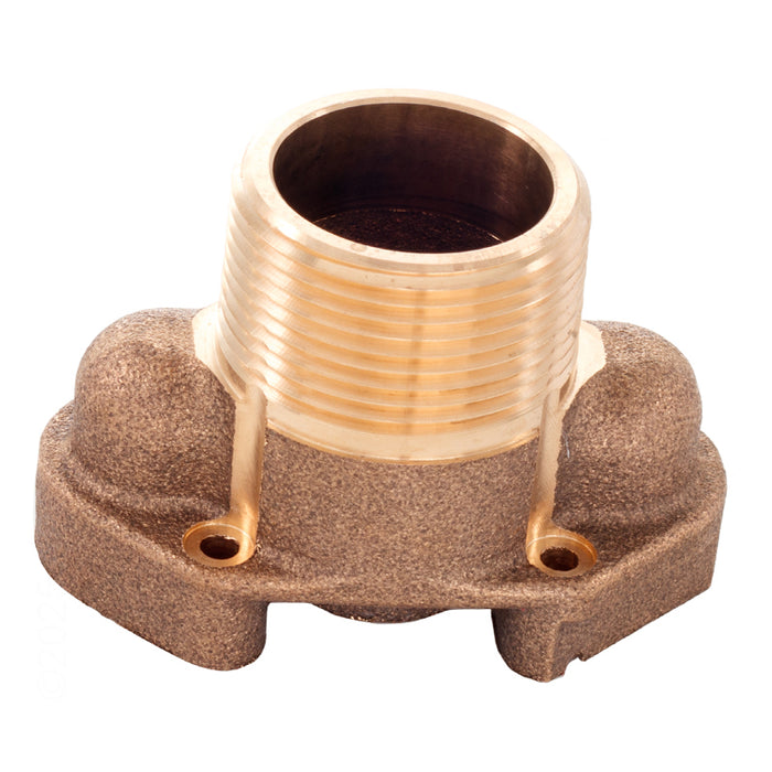 Pentair Inlet Brass Fitting 461103