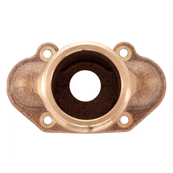 Pentair Inlet Brass Fitting 461103