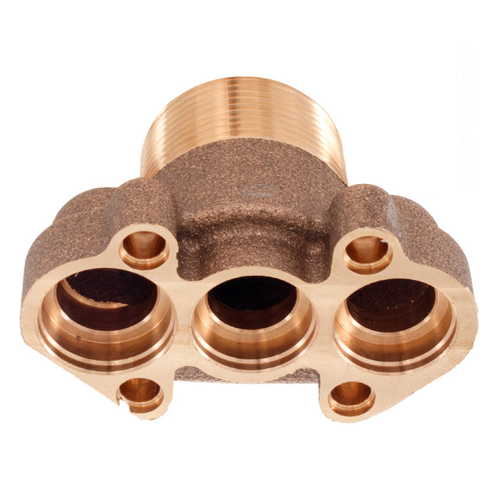 Pentair Inlet Brass Fitting 461103