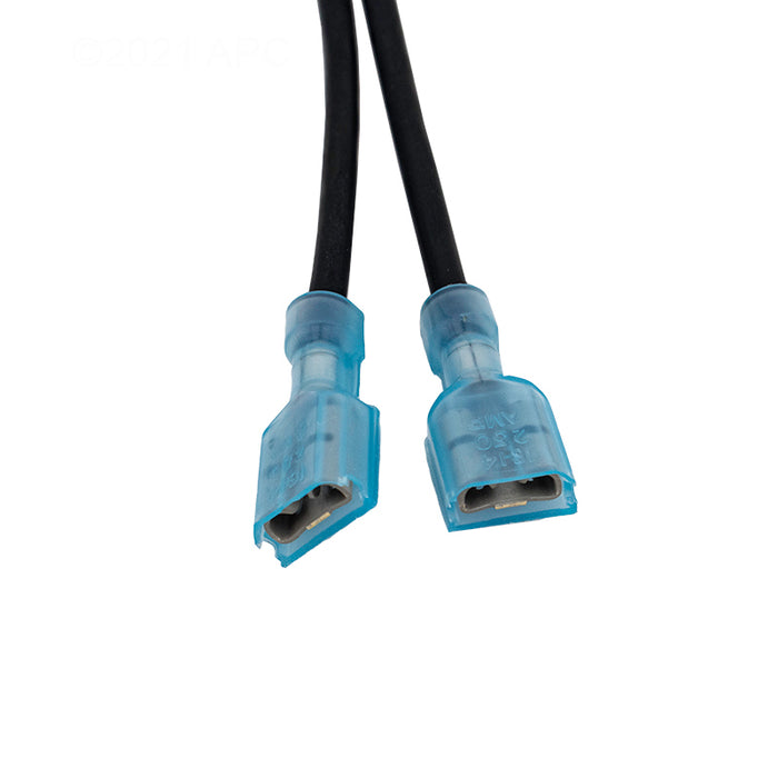 Pentair Heater Wiring Harness 461107
