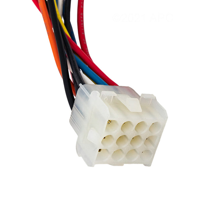 Pentair Heater Wiring Harness 461107