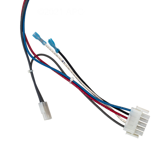 Pentair Heater Wiring Harness 461107
