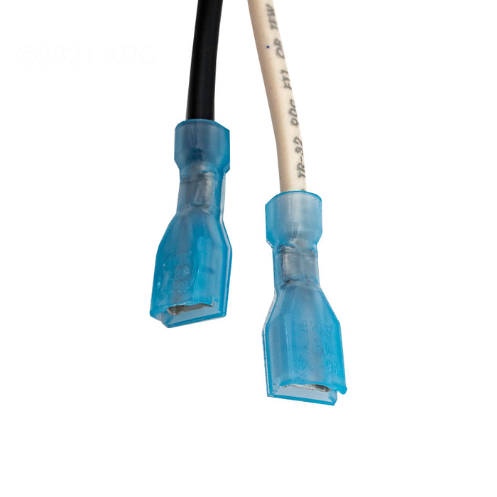 Pentair Heater Wiring Harness 461107