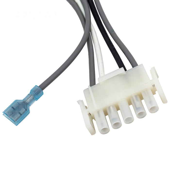 Pentair Heater Wiring Harness 461107