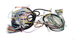 Pentair Wire Harness 475996