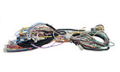 Pentair Wire Harness 475996