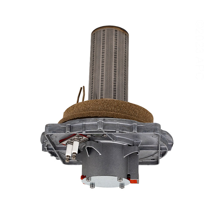 Pentair Burner Asssembly 476059