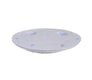 Pentair Gunite Cover 590102Z