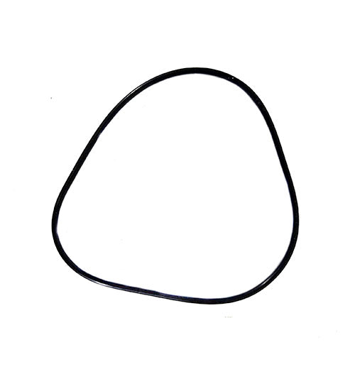 Pentair O-Ring 590118Z