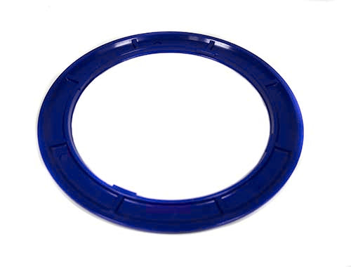 Pentair Color Ring 590128Z