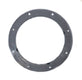 Pentair Color Lock Ring 590131Z