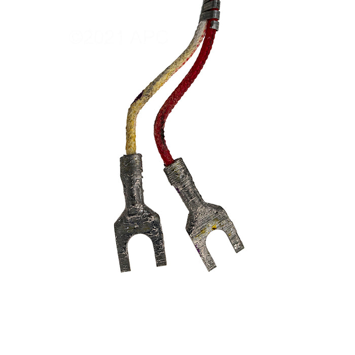 Raypak Natural MilliVolt Pilot 600525B