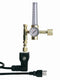 Hayward Standard Output CO2 System - AC004