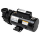 Balboa Dura Jet Pump 4239113-S | 1.5 HP | 2 Speed