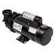 Balboa Dura Jet Pump 4239208-S | 2 HP | 2 Speed