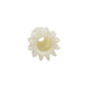 Dolphin Brush Gear 9983018
