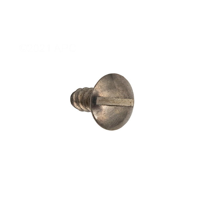 Hayward Cover Screw ECX1019