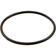 Hayward Gauge Adapter O-Ring ECX1287
