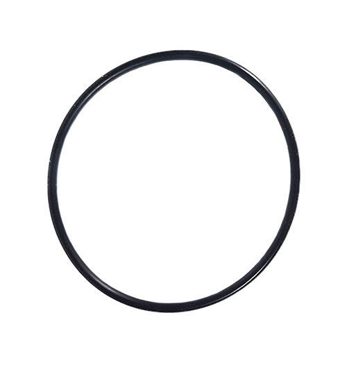 Hayward O-Ring for Salt Cell GLX-DIY-ORING