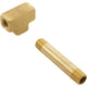 Hayward External Air Relief Valve Assembly HCXFARV1000