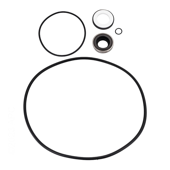 Hayward Seal Set HCXP6004A