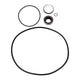 Hayward Seal Set HCXP6004A