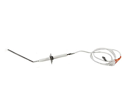 Hayward Ignitor and Flame Sensor HDXFIGFS002