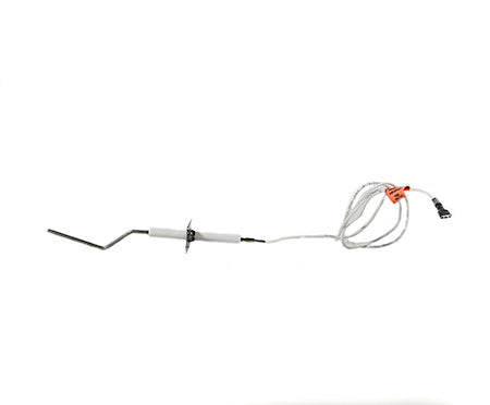 Hayward Ignitor and Flame Sensor HDXFIGFS002