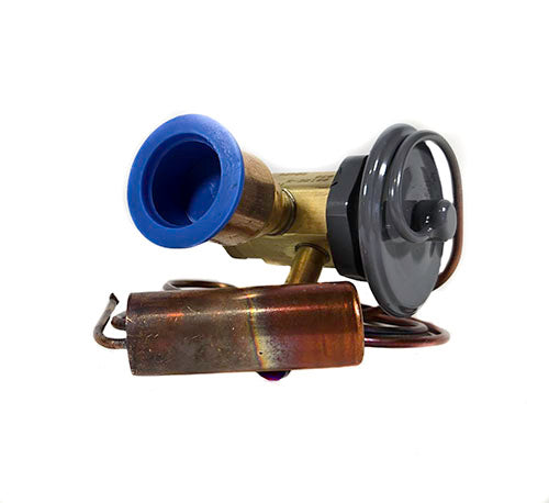 Hayward Thermal Expansion Valve HPX51700029001