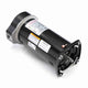 Century Centurion Pro 1.65 HP, 48Y Frame Motor HSQ165 - Square Flange