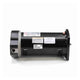 Century Centurion Pro 1.65 HP, 48Y Frame Motor HSQ165 - Square Flange