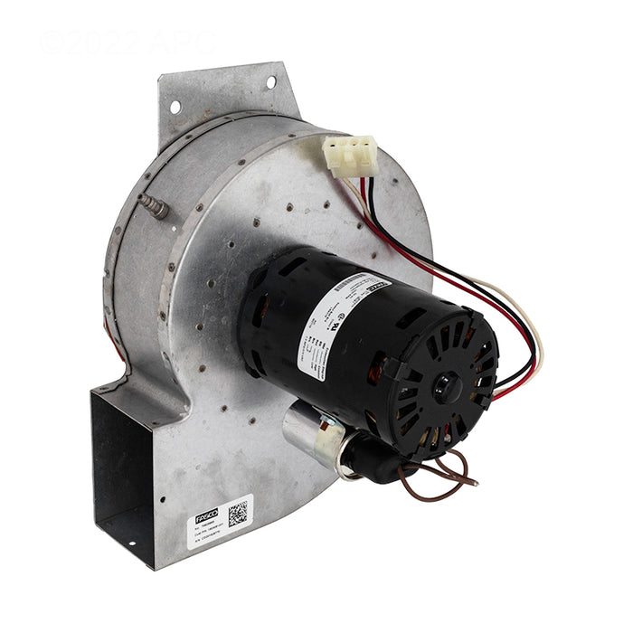 Hayward Combustion Blower IDXLBWR1931