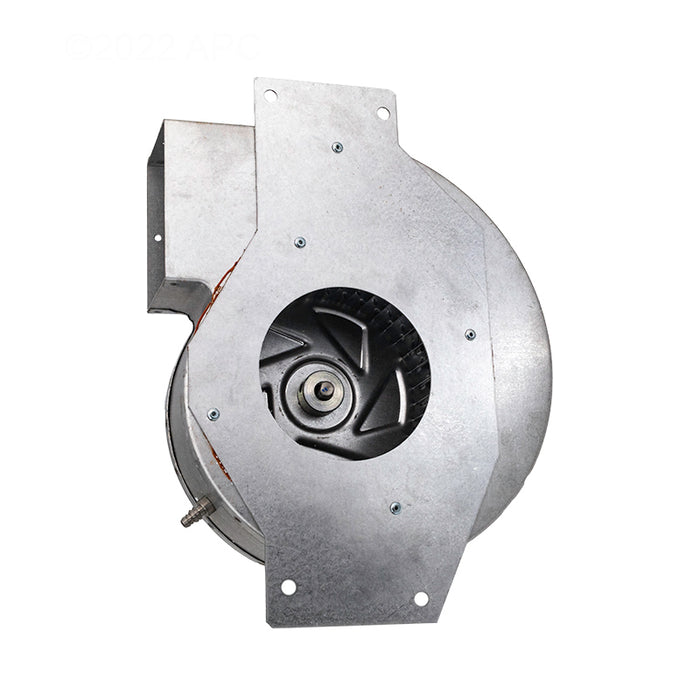 Hayward Combustion Blower IDXLBWR1931