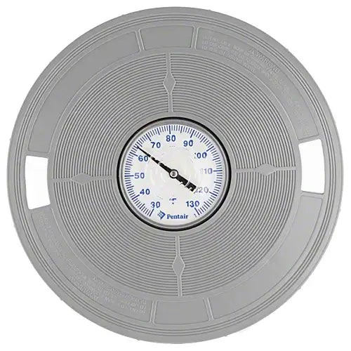 Round gray filter with a Pentair brand dial on a white background