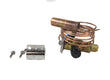 Jandy Thermal Expansion Valve R0935400