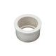 Pentair Automatic Feeder PVC Bushing R172210