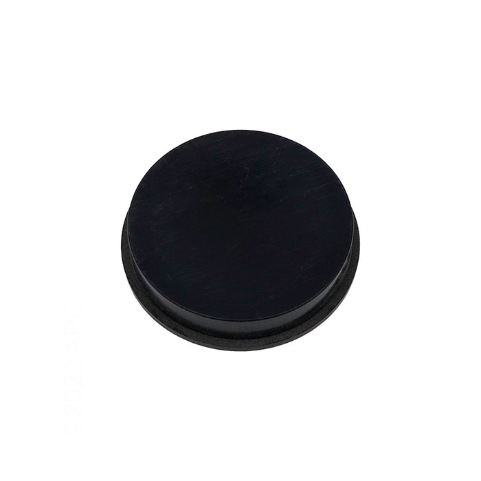 Pentair 1-1/2" Plug R172225X