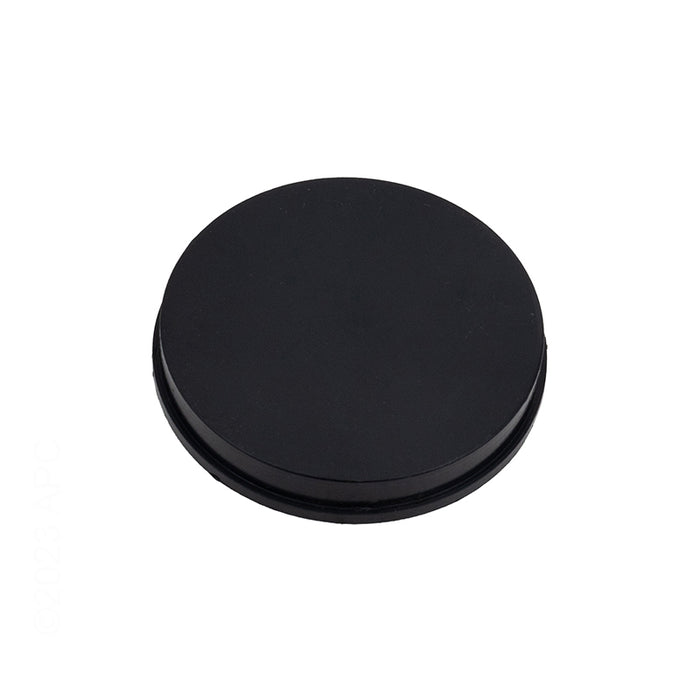 Pentair 2" Plug R172679